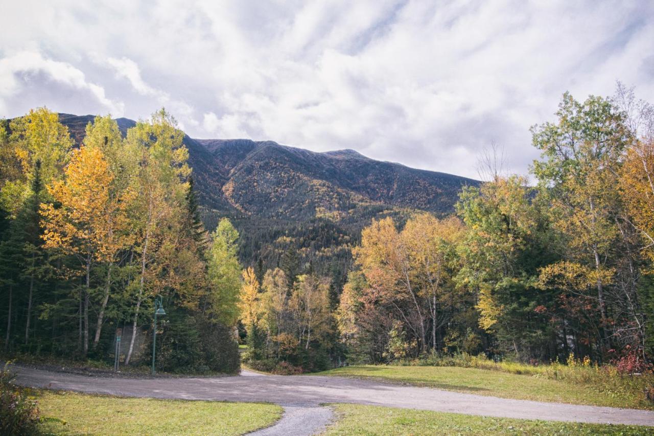 Gite Du Mont-Albert - Sepaq Sainte Anne-des-Chênes Eksteriør billede